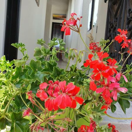 Il Casale Di Zi'Leo Bed & Breakfast Campomarino  Exterior photo