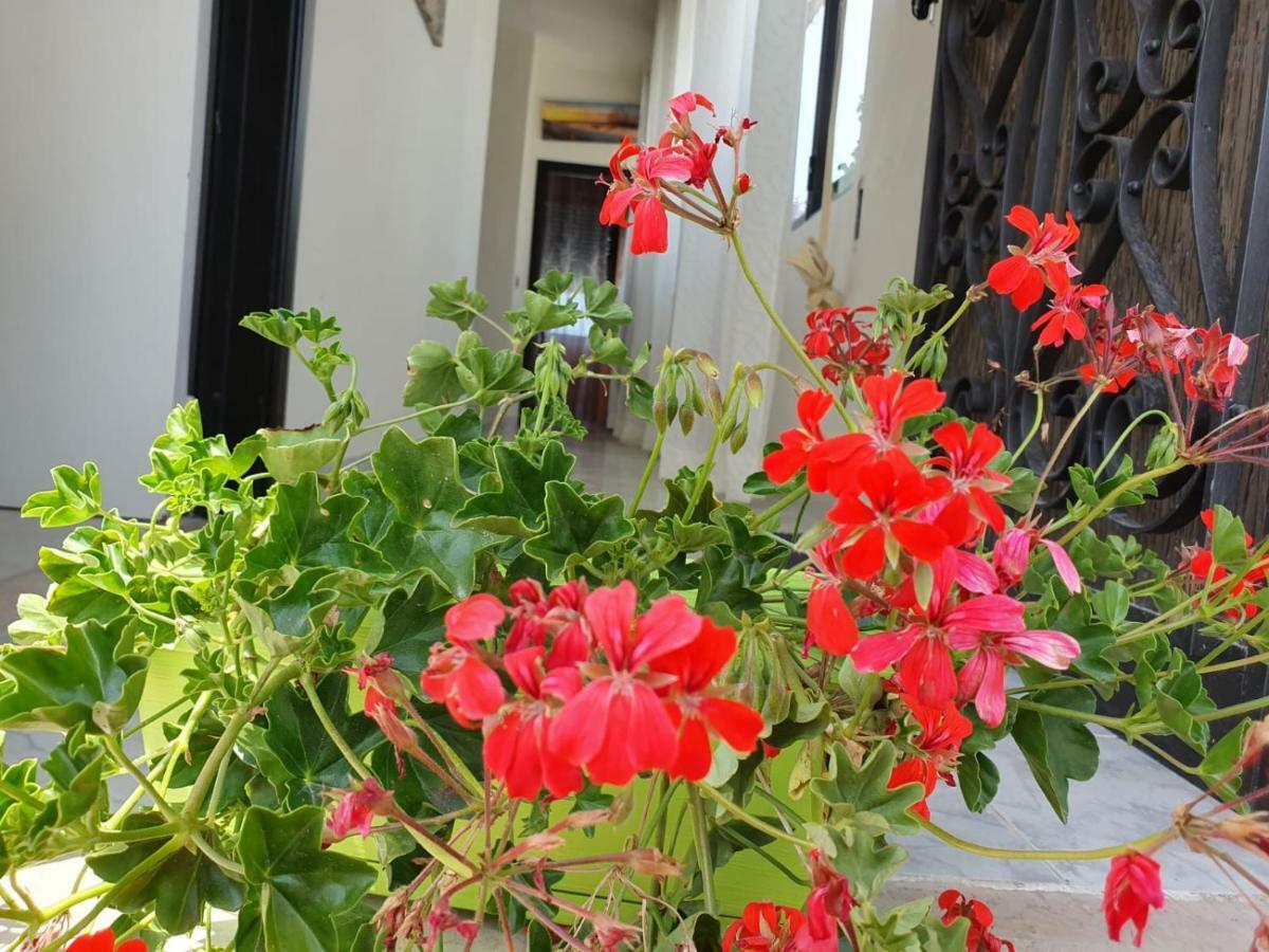 Il Casale Di Zi'Leo Bed & Breakfast Campomarino  Exterior photo